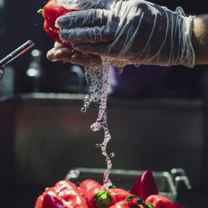 HACCP Aggiornamento 4 ore